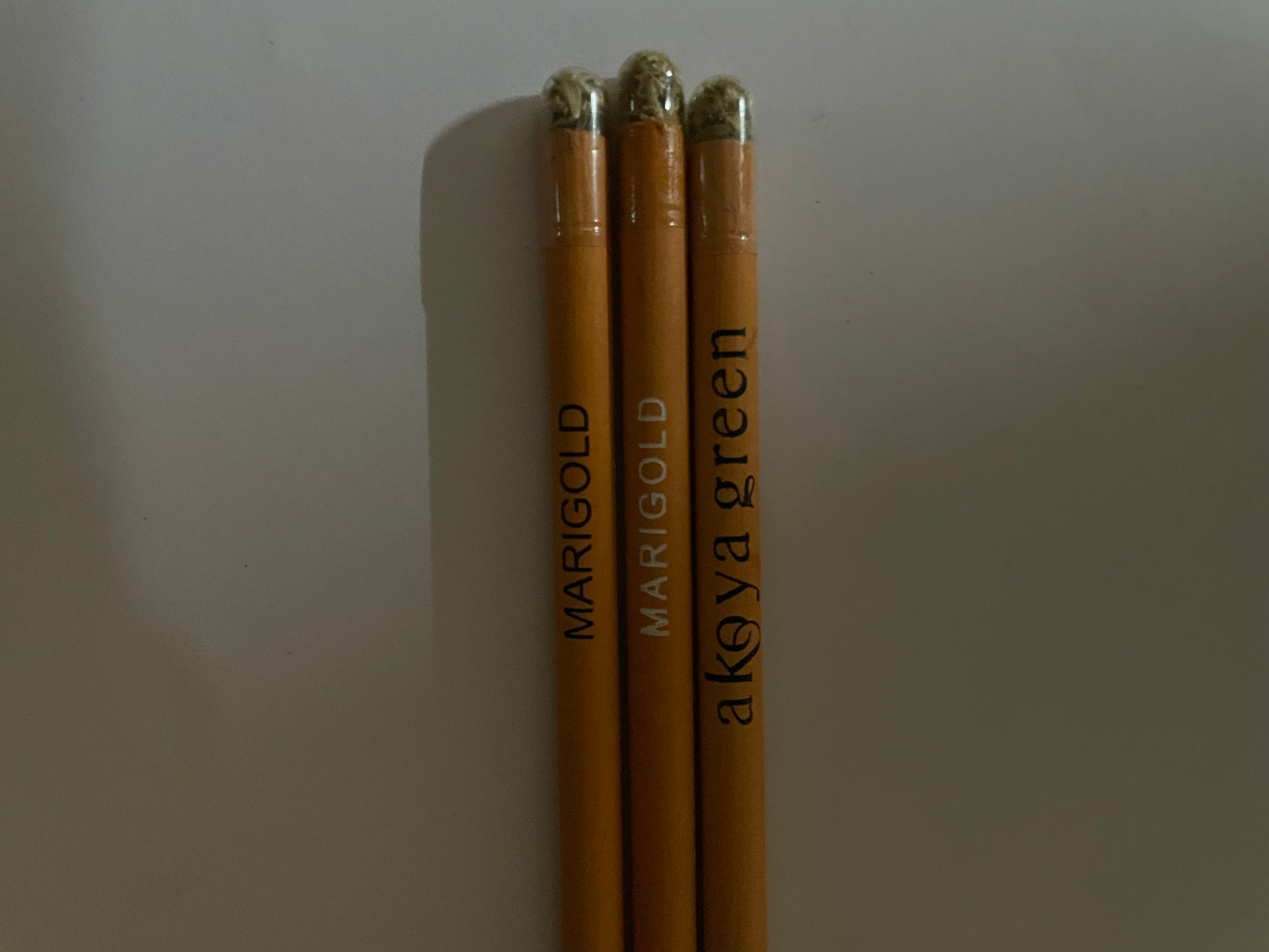 Plantable seed pencil (pack of 10)