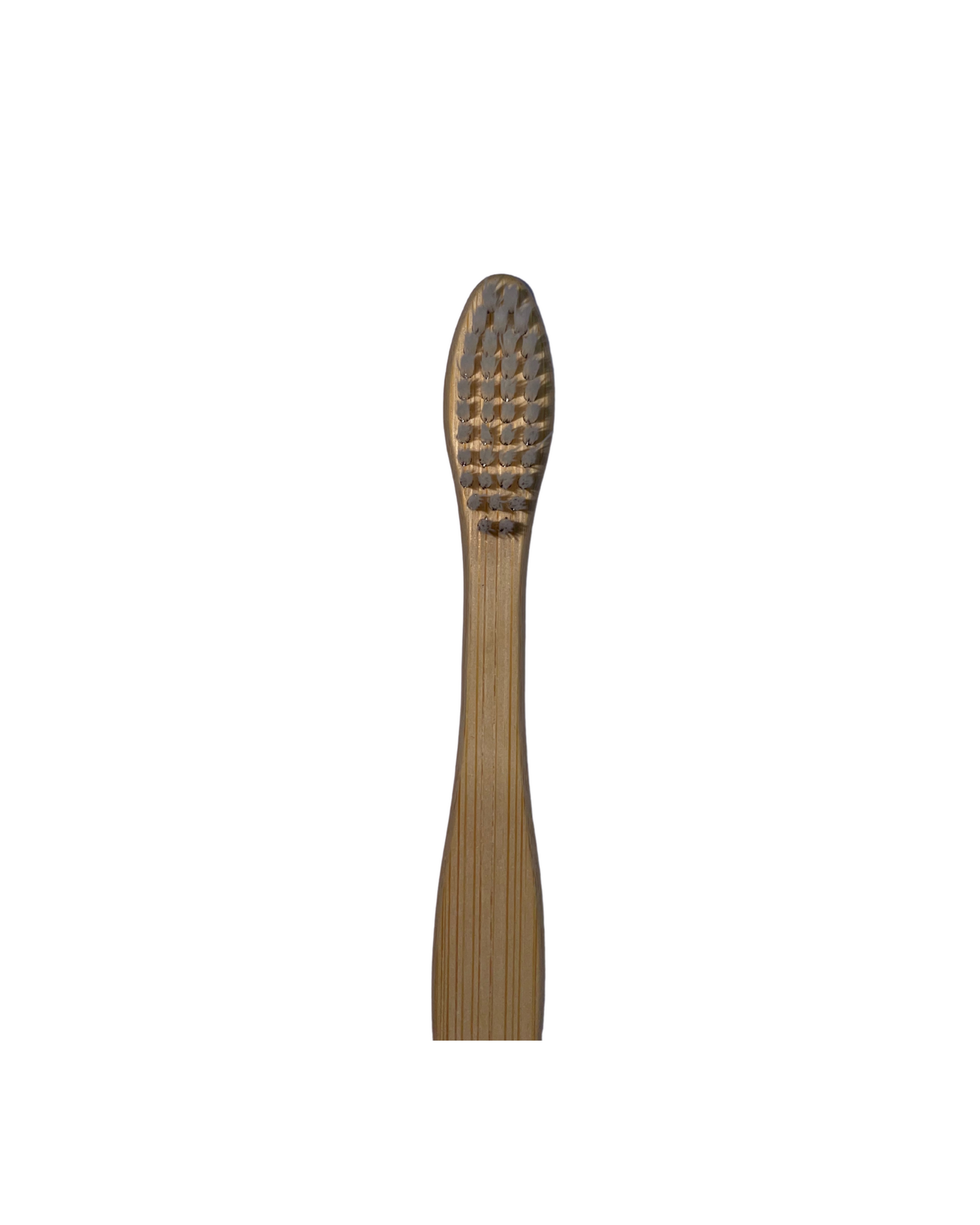 Bamboo Brush - Normal Bristle-pack of 4 pieces