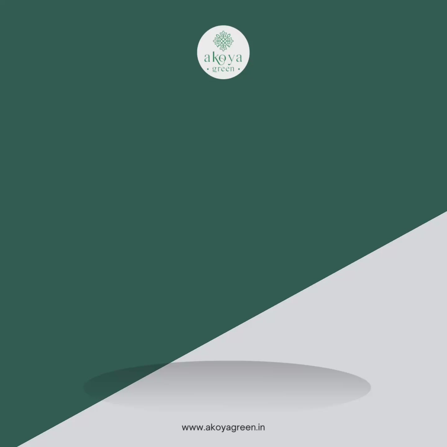 Akoya Green Oral Care Combo - Stainless Steel Tongue Cleaner, Natural Dental Tooth Pastelets & Bamboo Toothbrush with Nano Bristles